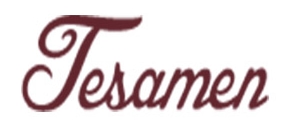 Tesamen logo